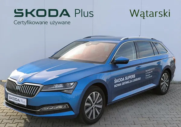 kujawsko-pomorskie Skoda Superb cena 174900 przebieg: 12200, rok produkcji 2023 z Czarna Białostocka